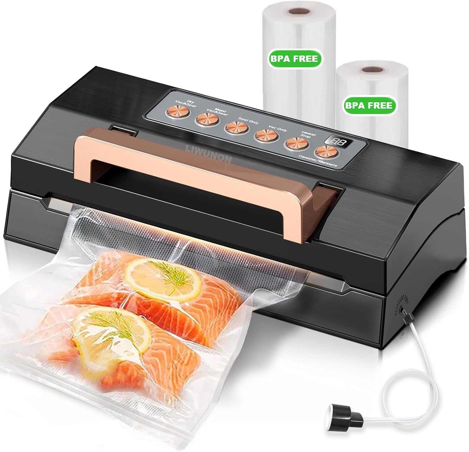 Vacuum Sealer Machine: Keep Food Fresh Longer and Reduce Kitchen Waste